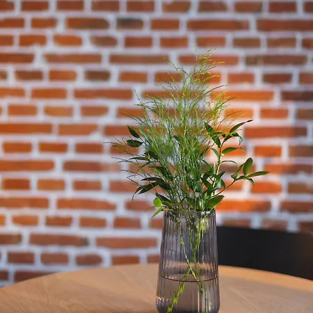 Apartament City center - Radziwiłłowska 27 *